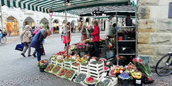 Blumenstand Prinzipal