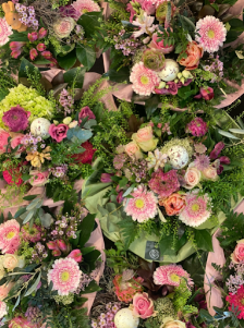Blumenland Anja van Setten