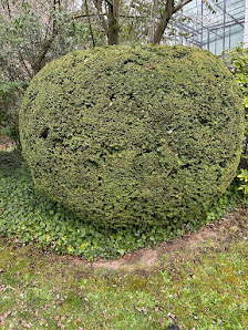 Mehlemer Gartenservice