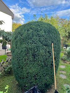 Mehlemer Gartenservice