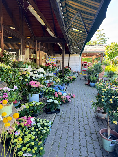 Bad Honnef