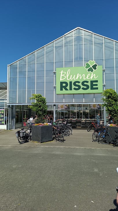 Blumen Risse Gartencenter Münster