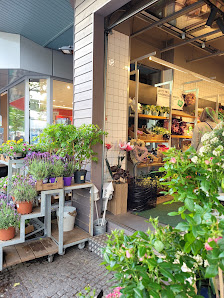 BLUME2000 Berlin Schloßstraße