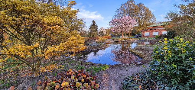 Ahrens Garten- und Landschaftsbau GmbH & Co. KG