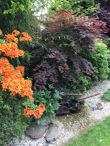GREEN-SERVICE-HAGEMANN Gartenpflege Baumpflege Gartengestaltung Garten-Coaching Münster