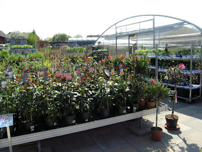Gartenmarkt Meisenbach