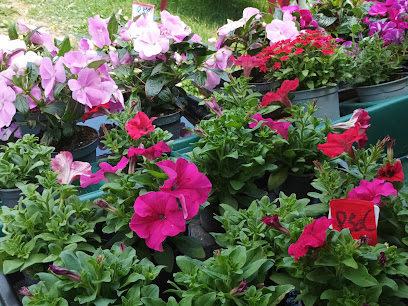 Blumenmarkt in Brohl-Lützing