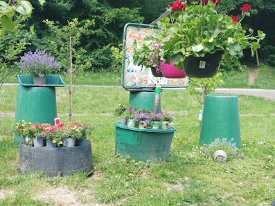Gartenbau & Blumen Seitz