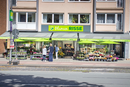 Blumen Risse Blumenladen Münster-Mauritz
