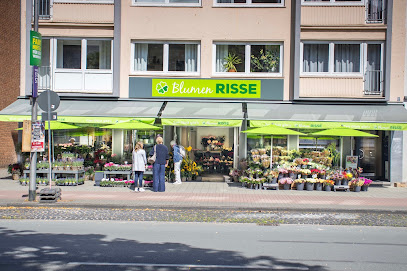 Blumen Risse Blumenladen Münster-Mauritz