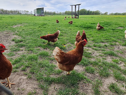 Landwirtschaftsbetrieb