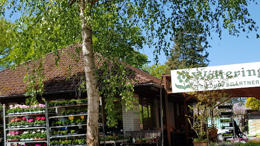 Blumen-Atelier Lauheide Walter