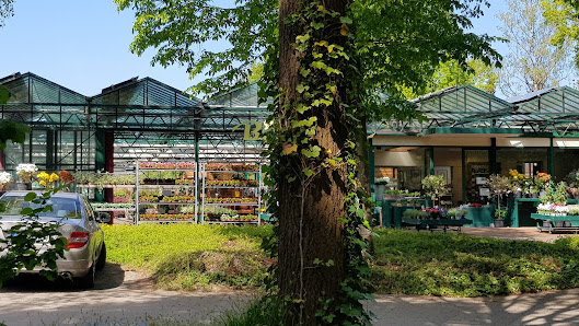 Blumen-Atelier Lauheide Walter