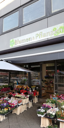 Liane Blumenladen