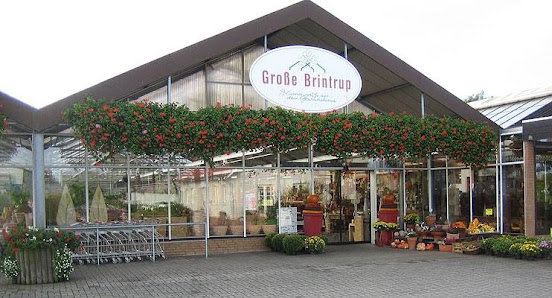 Große Brintrup - Floristik & Gärtnerei
