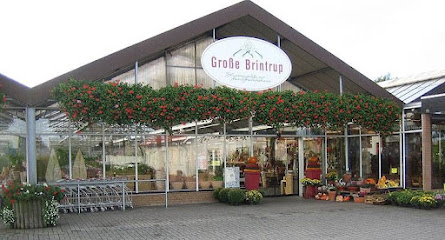 Dülmen