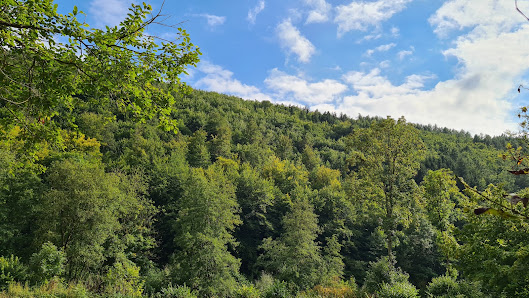 Zaunbau und Gartenservice Schellenberg