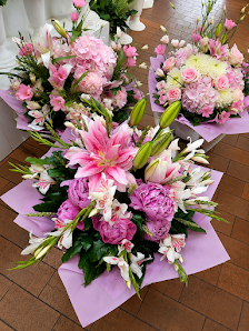 Blumen & Pflanzen