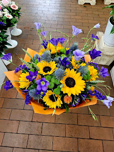 Blumen & Pflanzen