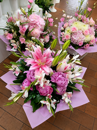 Blumen & Pflanzen