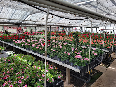 Schumacher Blumen und Gestaltung, Gärtnerei