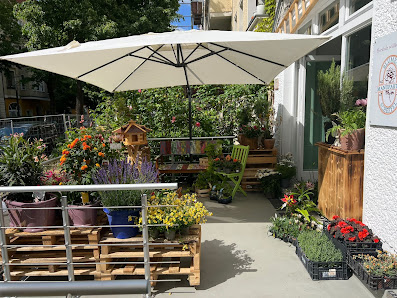 Blumen Manufaktur Scheffel
