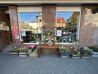 Die Palme, Inh. Maxi-Juliane Palme