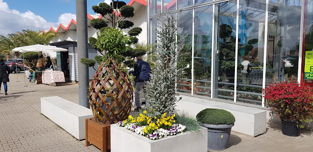 Gartencenter Beier GmbH & Co. KG