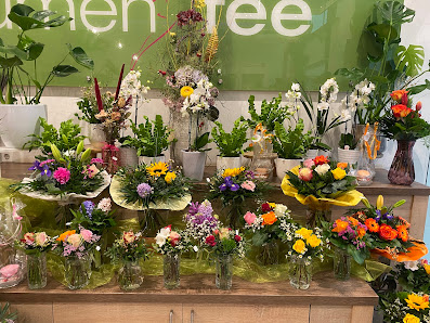 Blumenfee Mannheim Hauptbahnhof