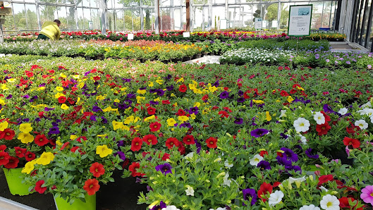Eicher Floristik & Gartenbau