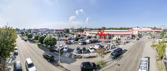 BAUHAUS Stadtgarten Mannheim-Mallau