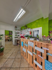 Rainers Gartenparadies Obst Gemüse Pflanzen Floristik Lieferservice