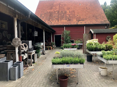 Lösings Gartenflora