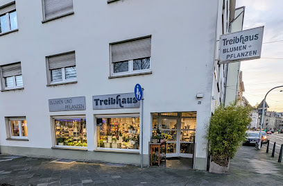 Treibhaus