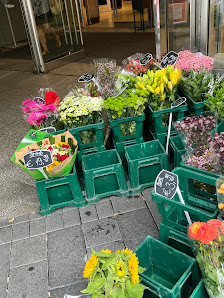 Oranje Blumen P.F. Overdevest GmbH