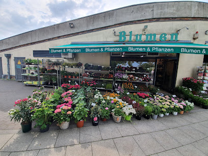 Blumen Messow