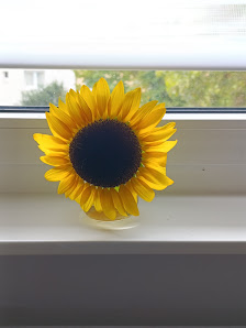 Blumen selbst pflücken