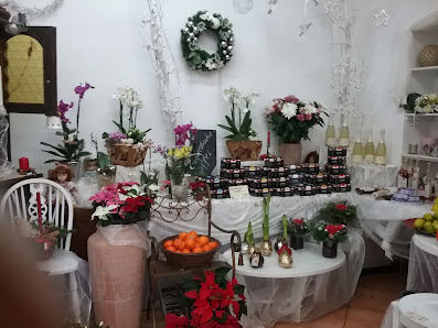 Günter Blumenboutique