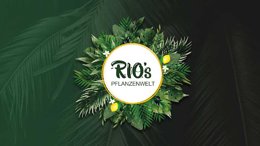 Rio‘s Pflanzenwelt
