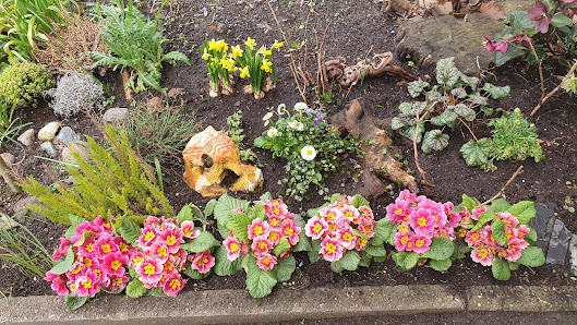 Gartenservice Gohr