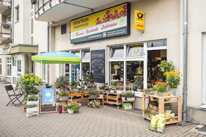 Spektrum Lebensfreude