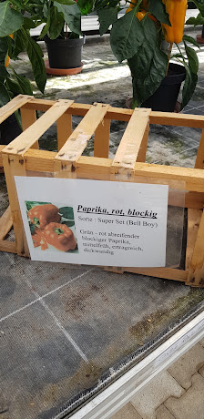 Pfisterer Gärtnerei