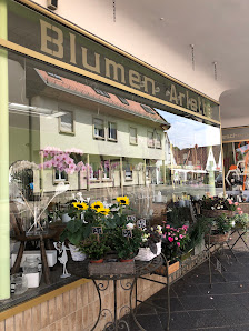 Blumen Arlette