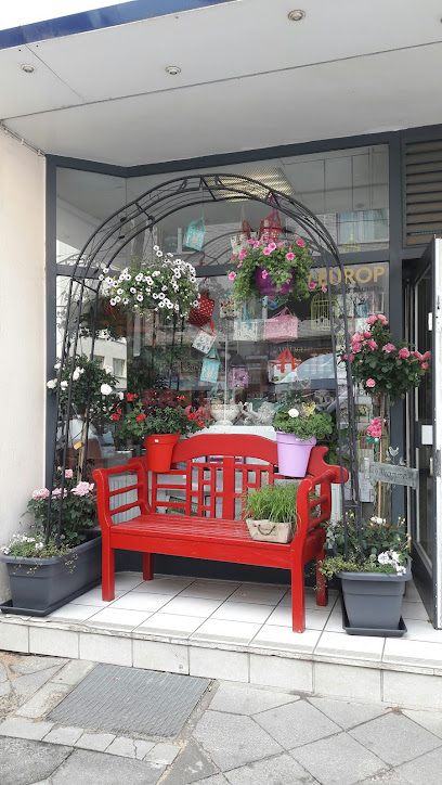 Blumenladen Tiwis Blütenzauber in Düsseldorf mit Lieferservice