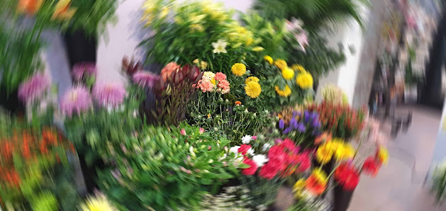 Blumen am Zehlendorfer Bahnhof