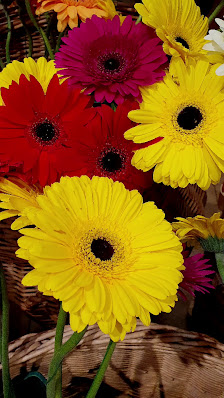 Blumenmeer