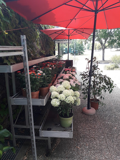 Blumen Deniz