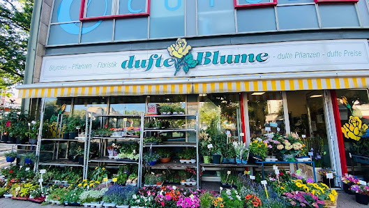 Dufte Blume