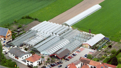 Böhl-Iggelheim