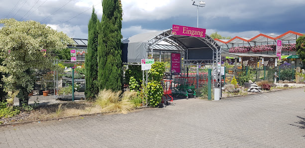 Blumenland Herdt